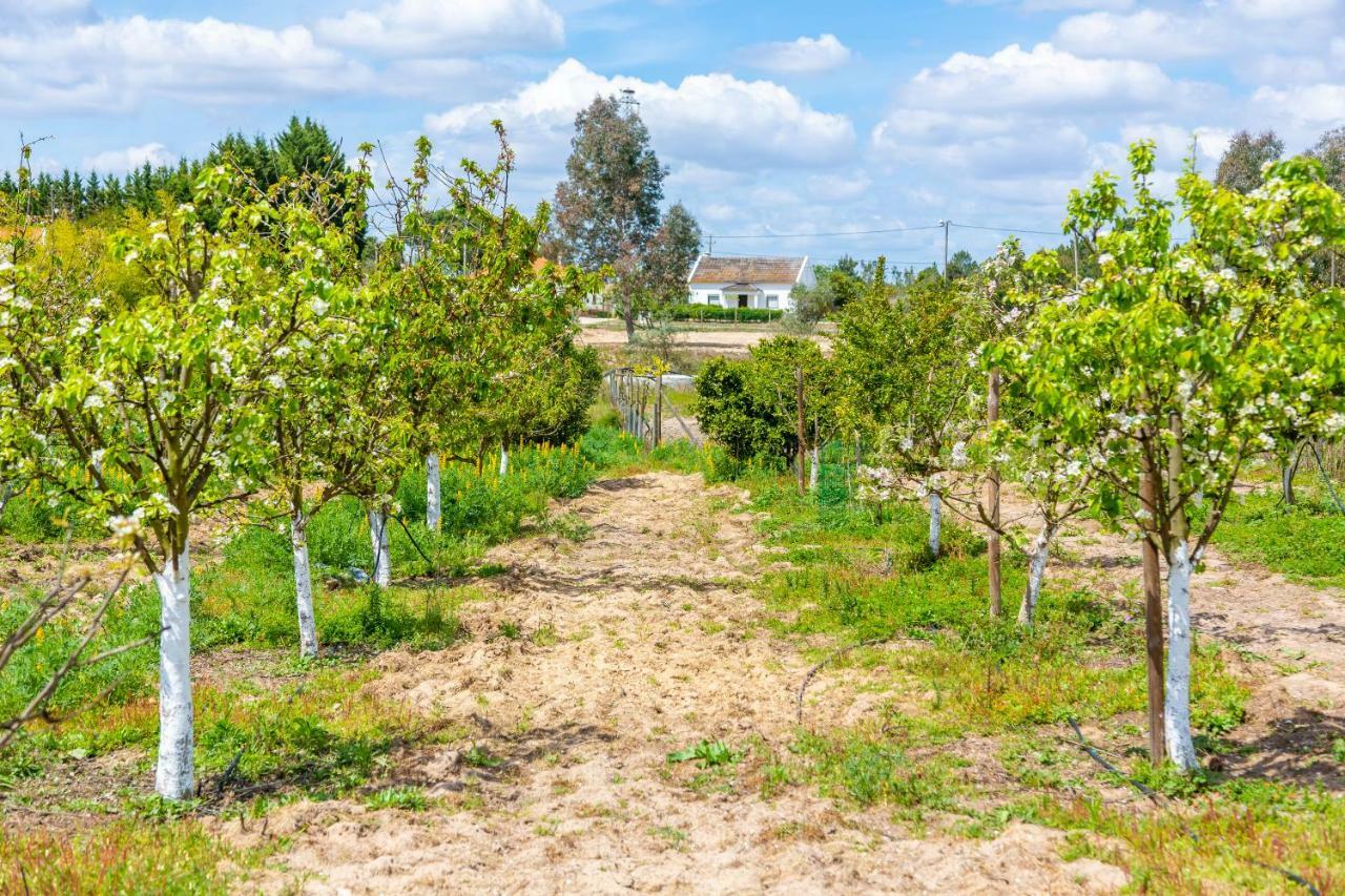 Chitaka'S Organic Farmhouse In Ribatejo Santo Estevao  Extérieur photo